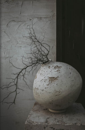 Victorian Ash