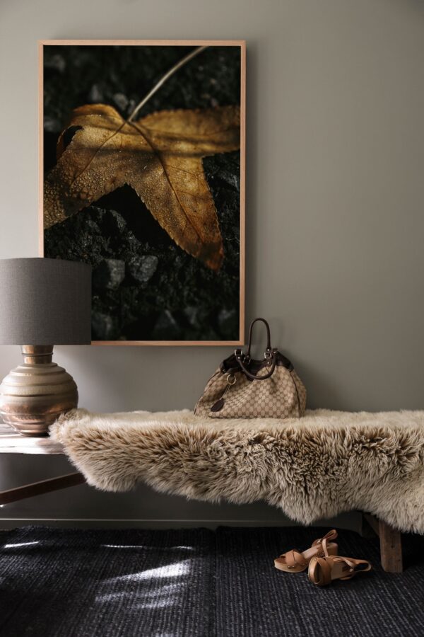 Autumn - Letting Go - Image 3
