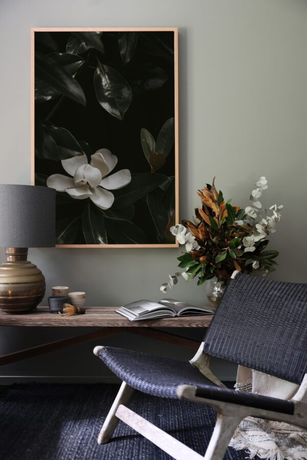 Bloom in Shadow - Image 6