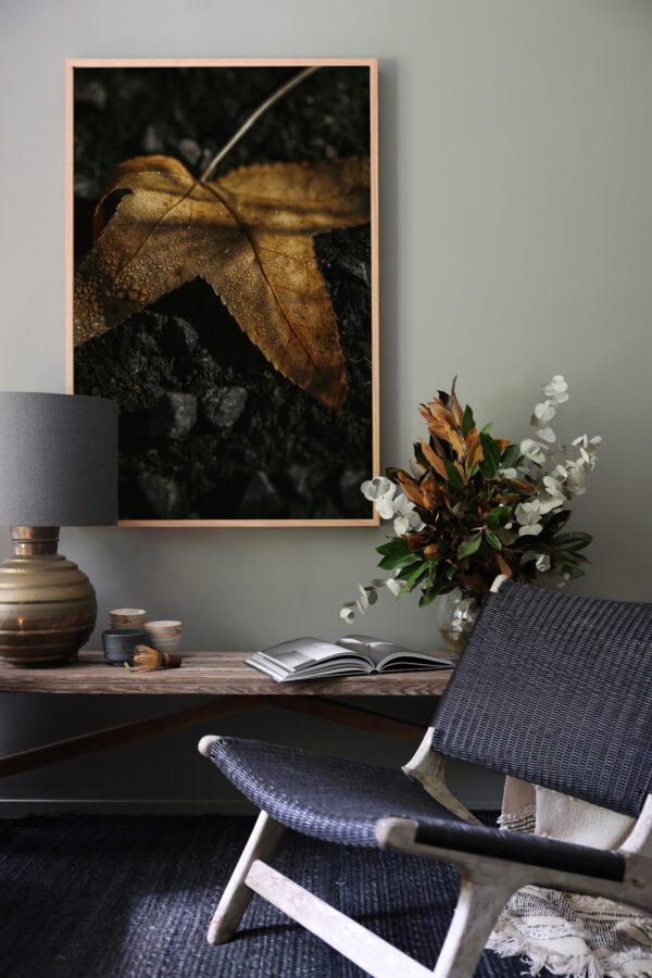 Autumn - Letting Go - Image 4
