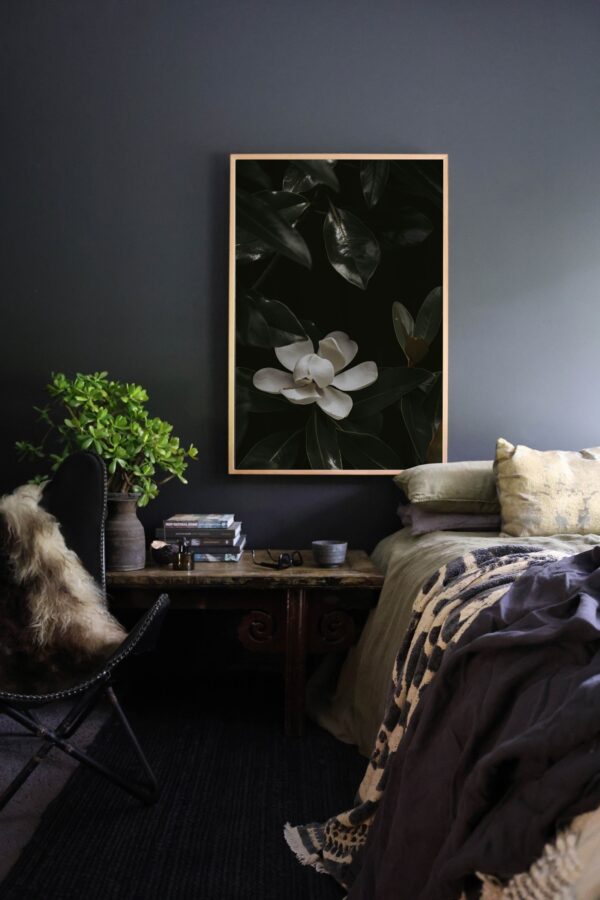 Bloom in Shadow - Image 7