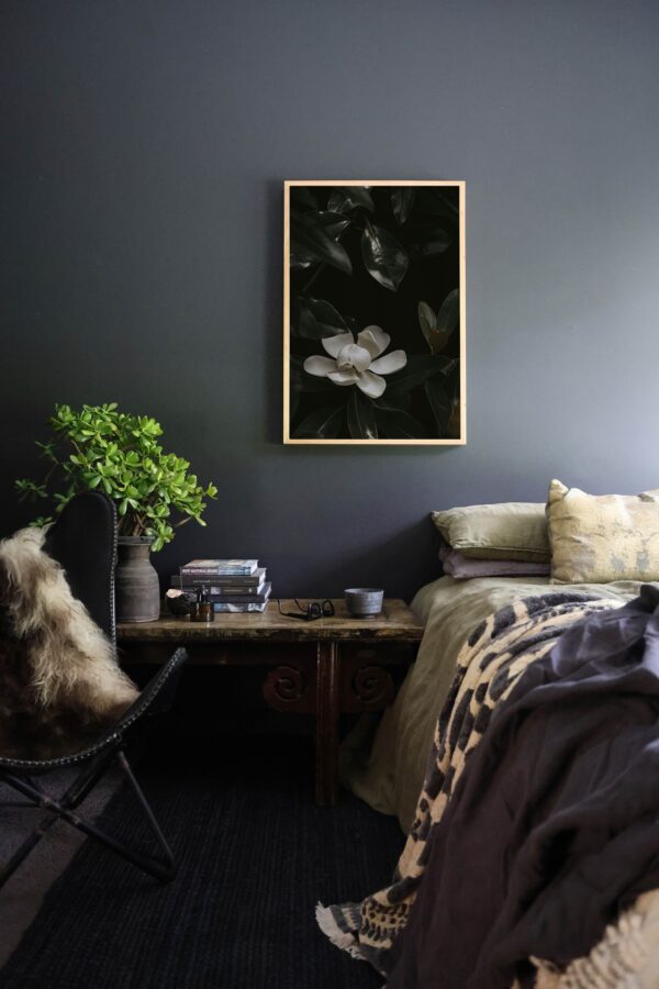Bloom in Shadow - Image 8