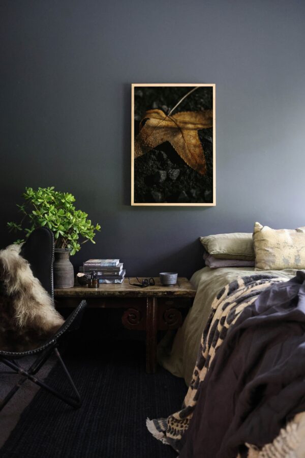 Autumn - Letting Go - Image 6