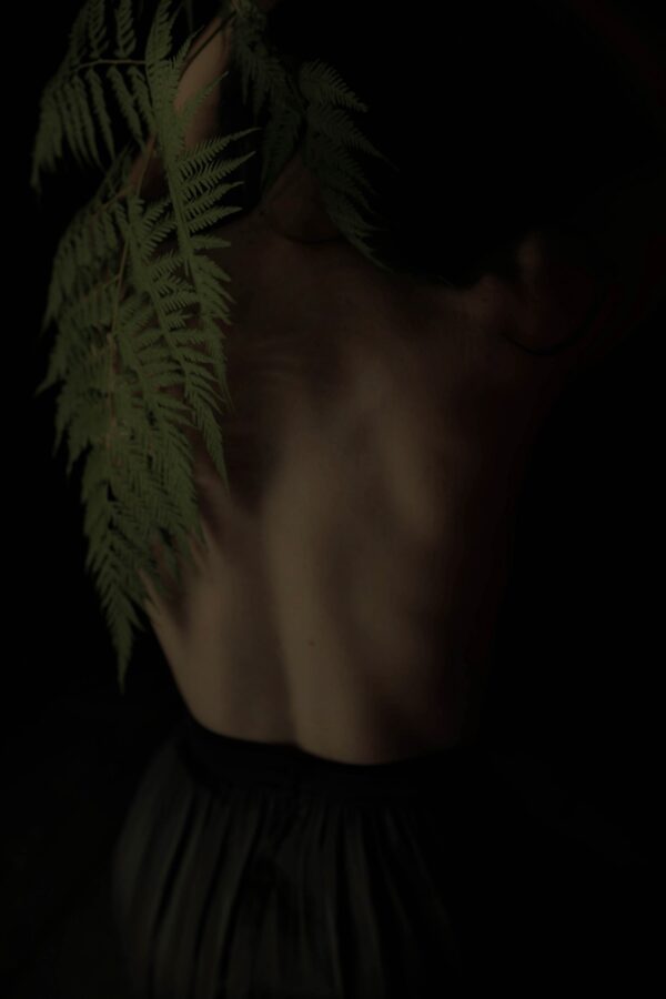 Forest Whisper