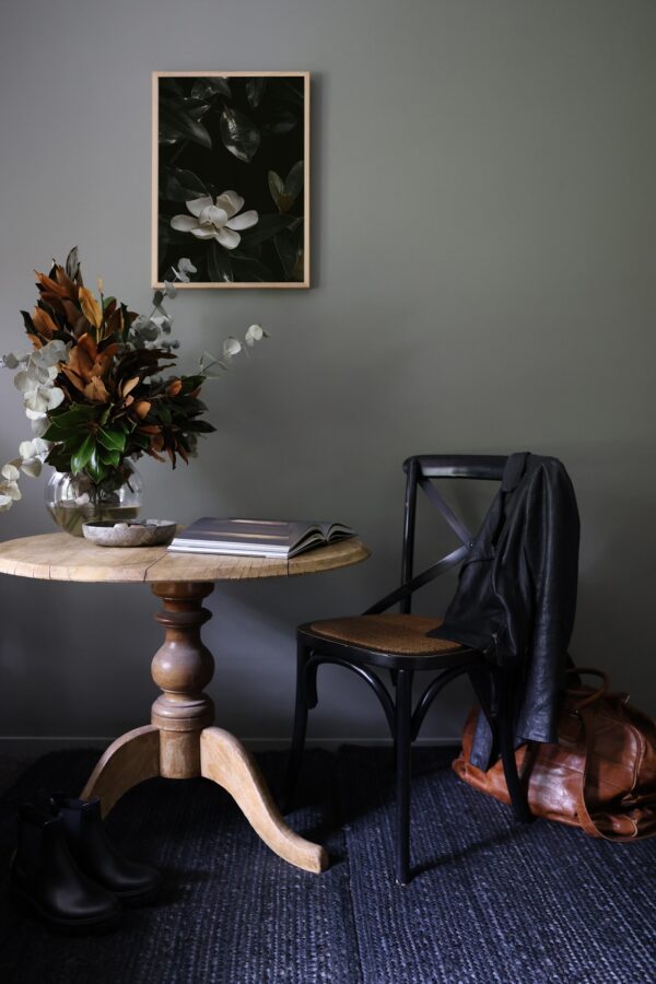 Bloom in Shadow - Image 4