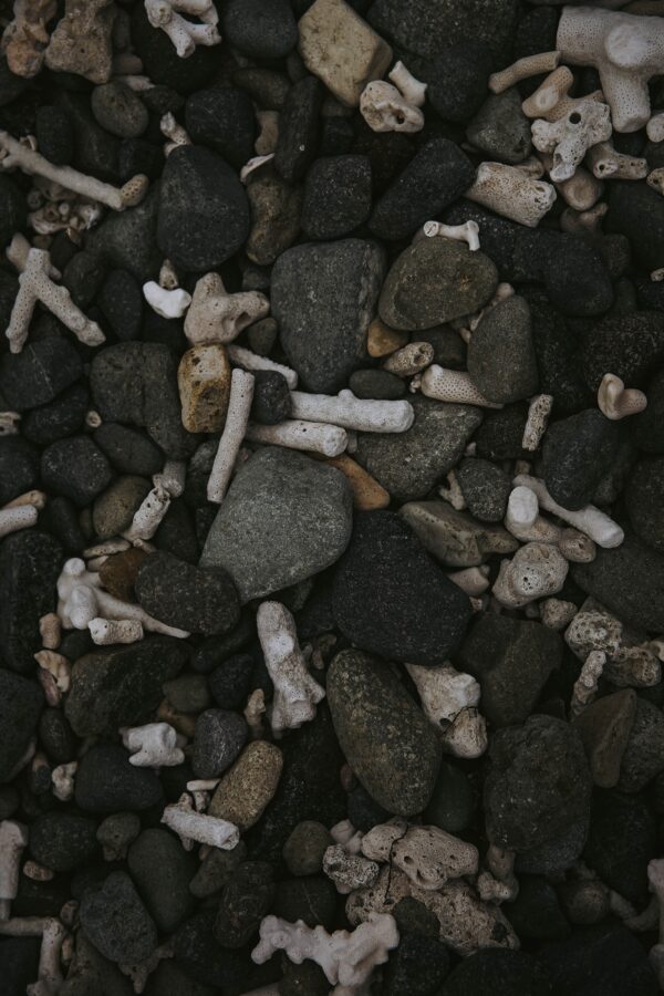 Noughts & Crosses