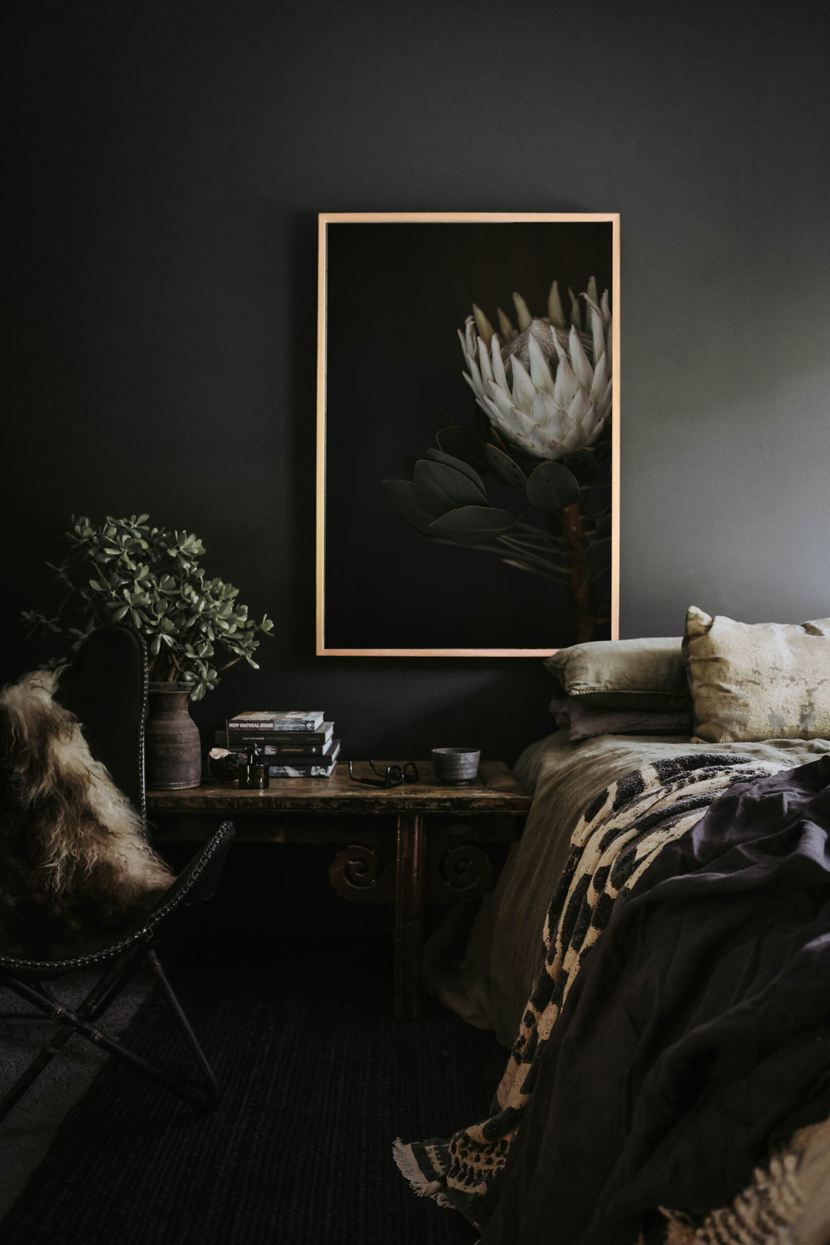 Protea Study - Image 2
