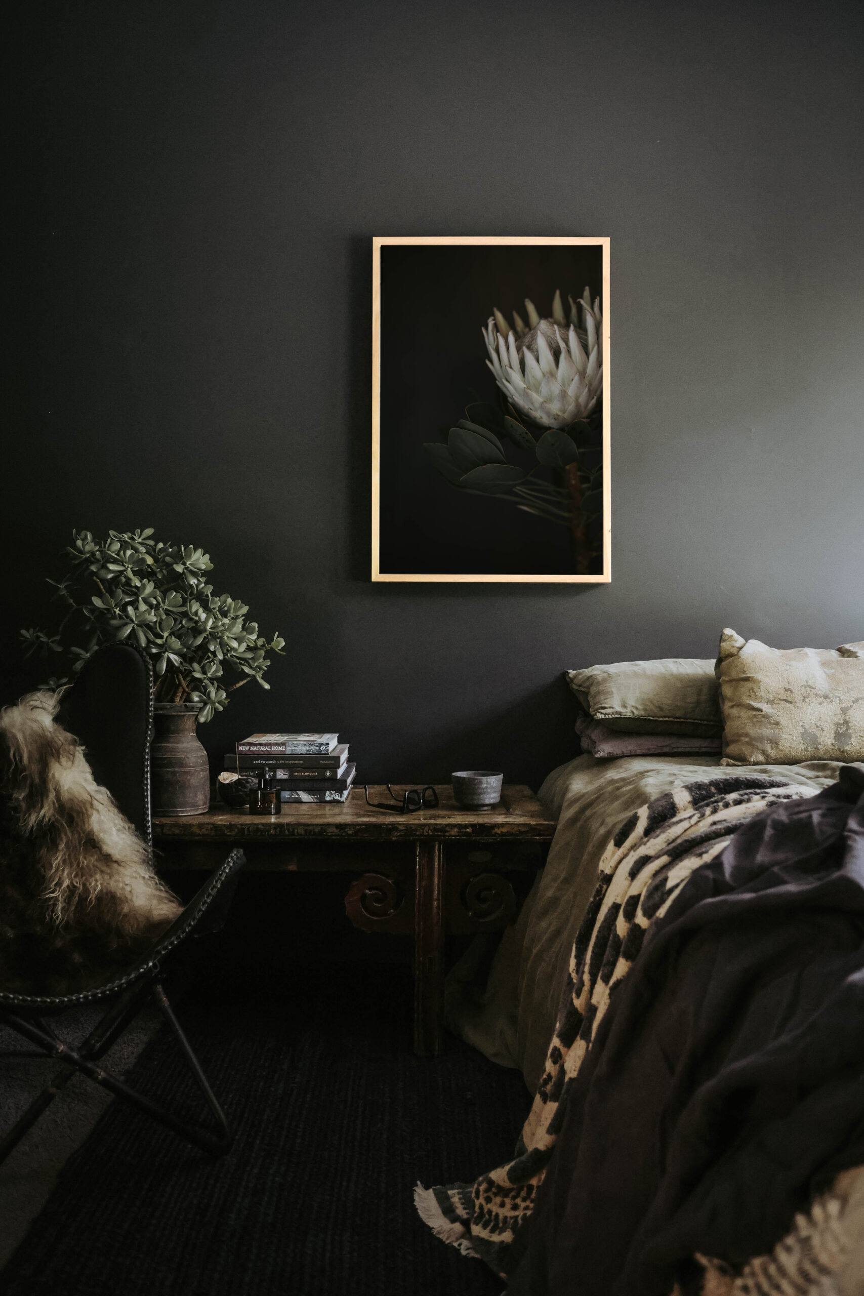 Protea Study - Image 4