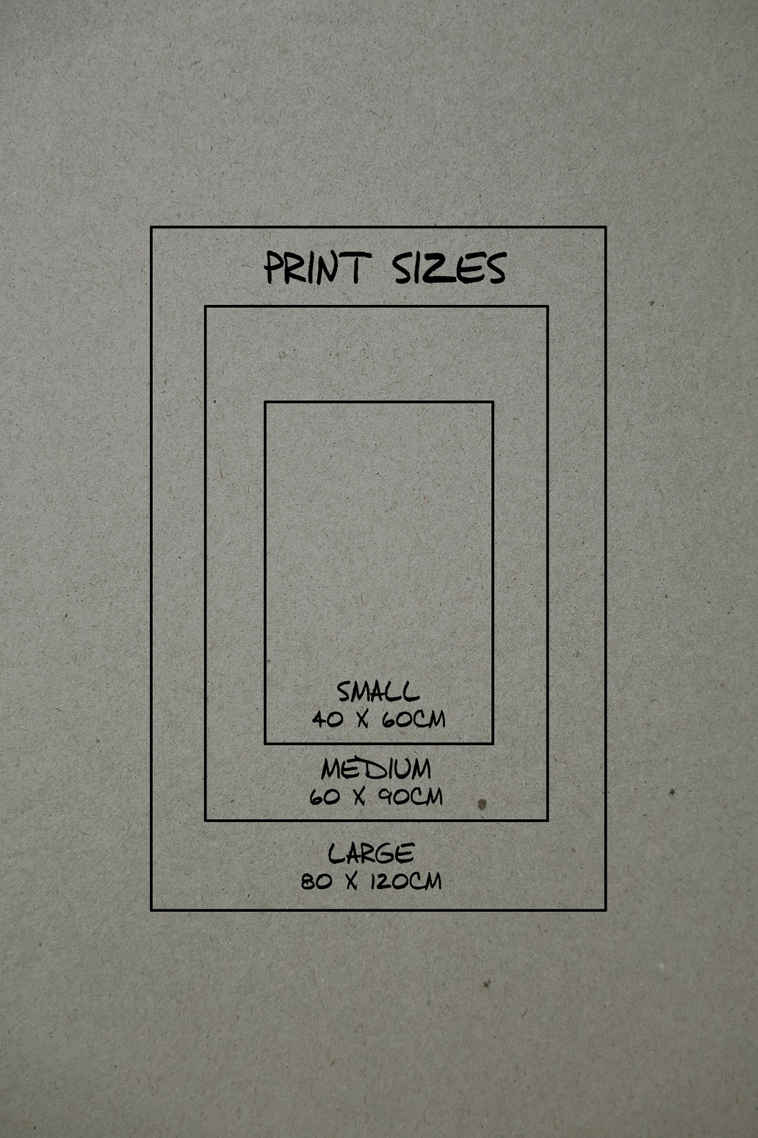 Protea Study - Image 10